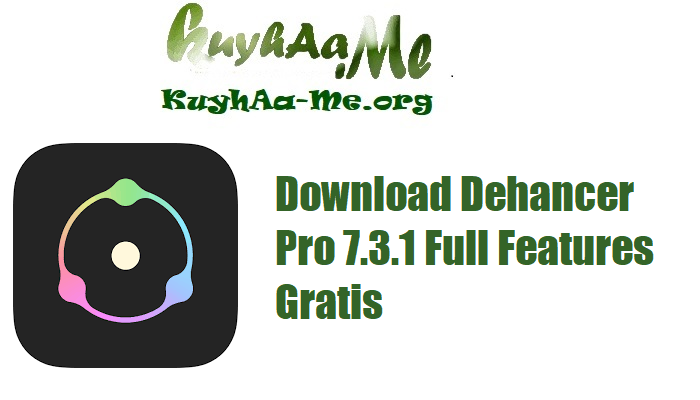 Download Dehancer Pro 7.3.1 Full Features Gratis 
