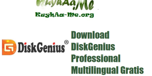 Download DiskGenius Professional 6.0.1.1645 Multilingual Lengkap dan Aktif Gratis 