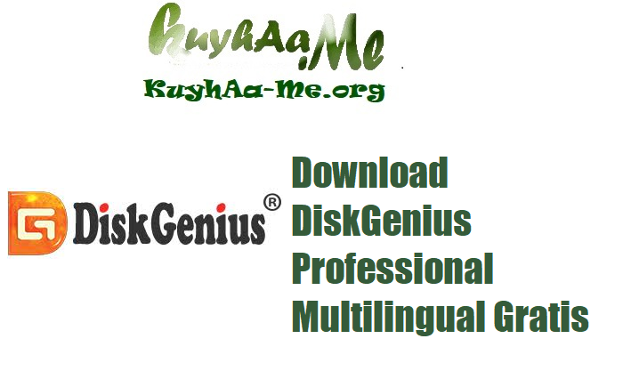 Download DiskGenius Professional 6.0.1.1645 Multilingual Lengkap dan Aktif Gratis 