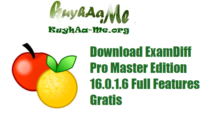 Download ExamDiff Pro Master Edition 16.0.1.6 Full Features Gratis