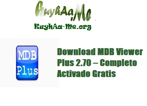 Download MDB Viewer Plus 2.70 – Completo Activado Gratis