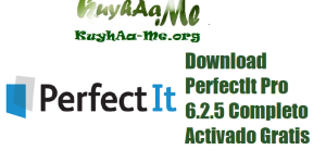 Download PerfectIt Pro 6.2.5 Completo Activado Gratis 