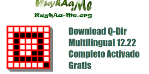 Download Q-Dir Multilingual 12.22 Completo Activado Gratis