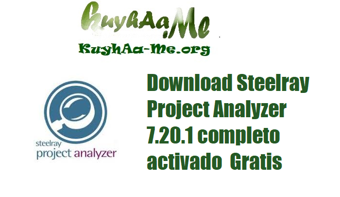 Download Steelray Project Analyzer 7.20.1 completo activado  Gratis 