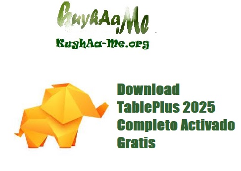 Download TablePlus 2025 Completo Activado Gratis