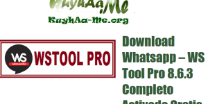 Download Whatsapp – WS Tool Pro 8.6.3 Completo Activado Gratis 