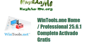 Download WinTools.one Home Professional 25.6.1 Completo Activado Gratis