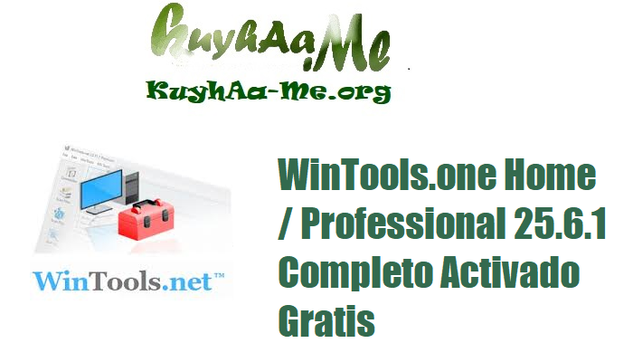 Download WinTools.one Home Professional 25.6.1 Completo Activado Gratis