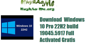 Download  Windows 10 Pro 22H2 build 19045.5917 Full Activated Gratis