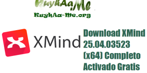 Download XMind 25.04.03523 (x64) Completo Activado Gratis 