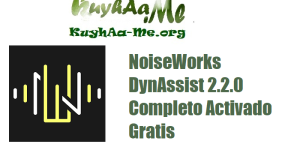 NoiseWorks DynAssist 2.2.0 Completo Activado Gratis 