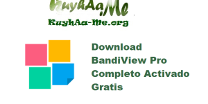 Download BandiView Pro 7.19 Completo Activado Gratis 