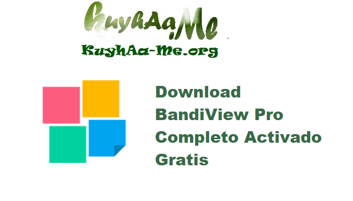 Download BandiView Pro 7.19 Completo Activado Gratis 