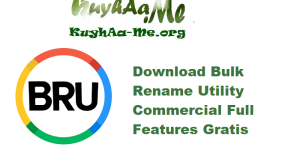 Download Bulk Rename Utility 4.0.1 Commercial Full Features Gratis 