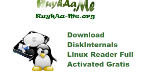 Download DiskInternals Linux Reader 4.24.0 Full Activated Gratis 