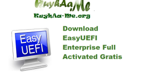 Download EasyUEFI Enterprise 6.0.1 Full Activated Gratis 