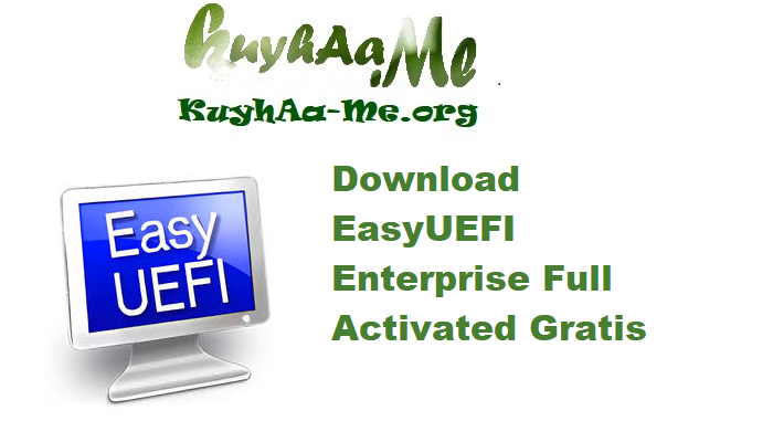 Download EasyUEFI Enterprise 6.0.1 Full Activated Gratis 
