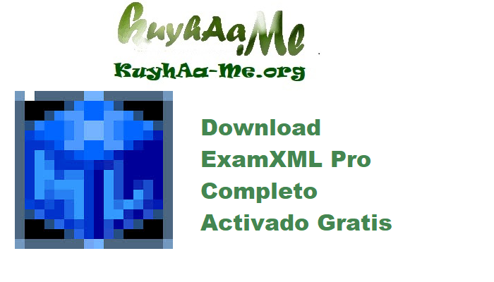 Download ExamXML Pro 5.56 Build 1094 Completo Activado Gratis 