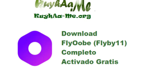 Download FlyOobe (Flyby11) v3.0.510 Completo Activado Gratis 