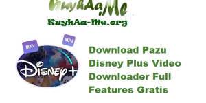 Download Pazu Disney Plus Video Downloader 1.6.1 Full Features Gratis 