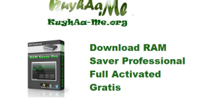 Download RAM Saver Professional 25.7.1 Full Activated Gratis