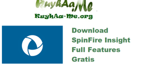 Download SpinFire Insight 2025.2.0 Full Features Gratis 