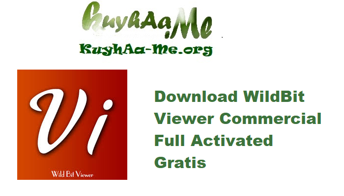 Download WildBit Viewer 6.17 Commercial Full Activated Gratis 