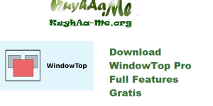 Download WindowTop Pro 5.28.1 Full Features Gratis