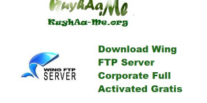 Download Wing FTP Server Corporate 7.4.4 Full Activated Gratis