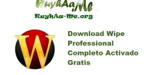 Download Wipe Professional 2025.07 Completo Activado Gratis 