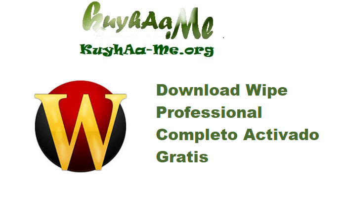 Download Wipe Professional 2025.07 Completo Activado Gratis 