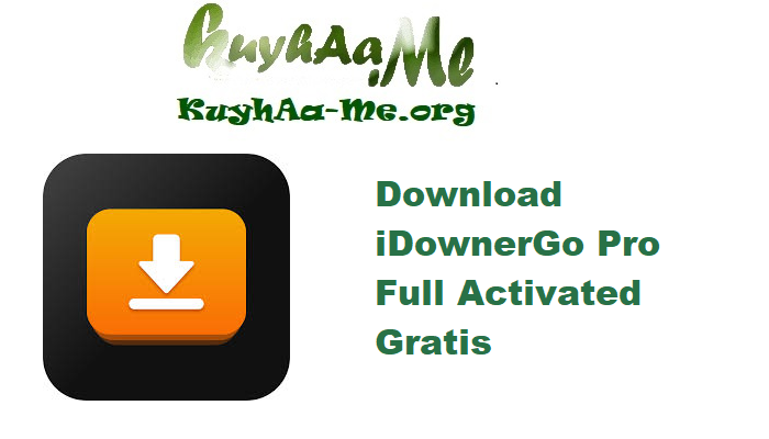 Download iDownerGo Pro 10.5.0 Full Activated Gratis 