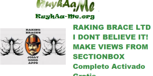 RAKING BRACE LTD I DONT BELIEVE IT! MAKE VIEWS FROM SECTIONBOX 2025 v1.0.0 Completo Activado Gratis