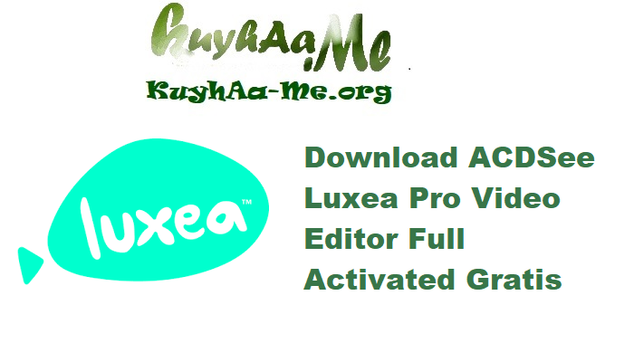 Download ACDSee Luxea Pro Video Editor 8.0.0.3317 Full Activated Gratis 