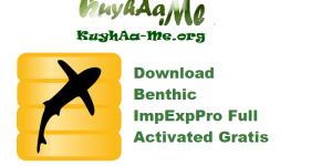 Download Benthic ImpExpPro 1.2.0.120 Full Activated Gratis 