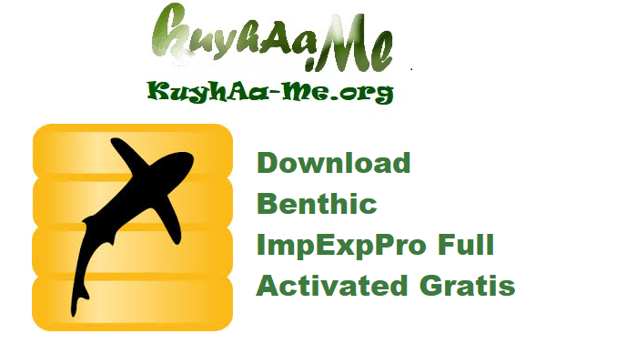 Download Benthic ImpExpPro 1.2.0.120 Full Activated Gratis 