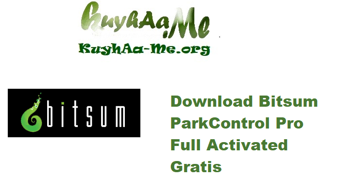 Download Bitsum ParkControl Pro 5.4.1.2 Full Activated Gratis