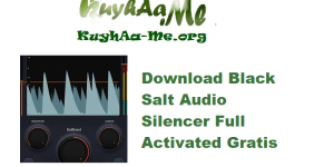 Download Black Salt Audio Silencer v1.1.1 Full Activated Gratis 