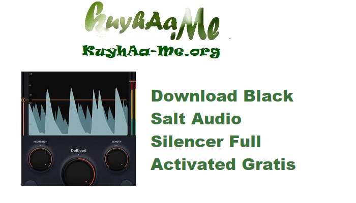 Download Black Salt Audio Silencer v1.1.1 Full Activated Gratis 