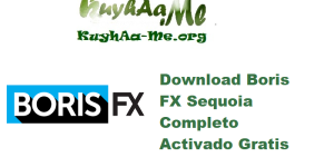 Download Boris FX Sequoia v2025.0.0 Completo Activado Gratis