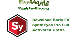Download Boris FX SynthEyes Pro 2025.5 Build 3376 Full Activated Gratis 