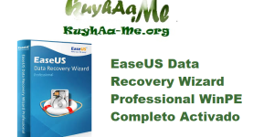 Download EaseUS Data Recovery Wizard Professional 19.6.5 Build 20250721 WinPE Completo Activado Gratis