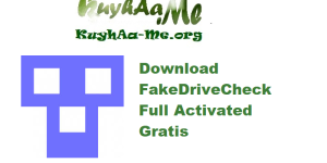 Download FakeDriveCheck 4.58 Full Activated Gratis 