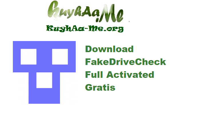 Download FakeDriveCheck 4.58 Full Activated Gratis 