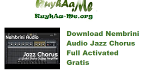Download Nembrini Audio Blackice Beta Gamma 1.0.7 Full Activated Gratis 
