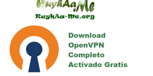 Download OpenVPN 2.6.14.I003 Completo Activado Gratis 