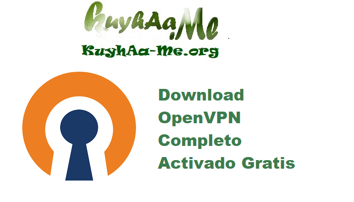 Download OpenVPN 2.6.14.I003 Completo Activado Gratis 