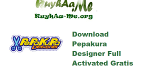 Download Pepakura Designer 6.1.1 Full Activated Gratis 