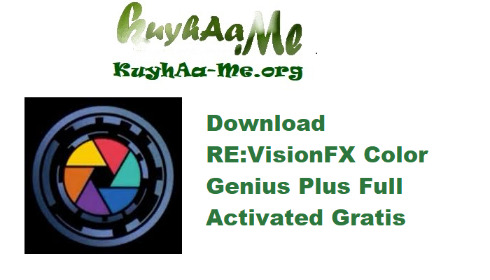 Download RE:VisionFX Color Genius Plus 2025.4 Full Activated Gratis 
