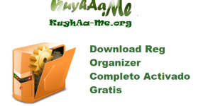 Download Reg Organizer 9.80 Completo Activado Gratis 